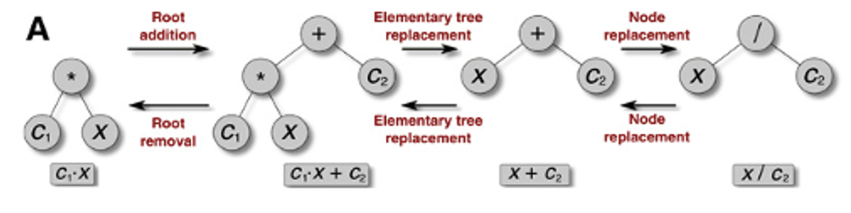 Tree_Mutations